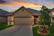 4502 Fenway Park Way, Spring image