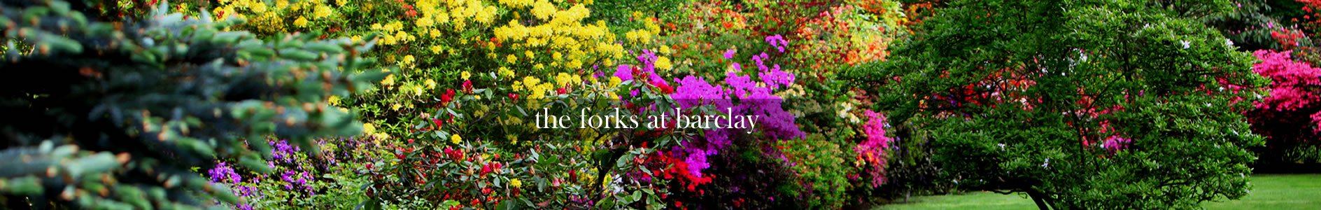 The Forks at Barclay