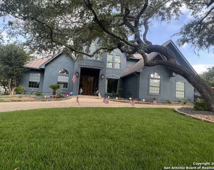 307 Myrtle Oak, San Antonio