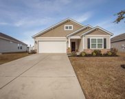 230 Sea Turtle Dr., Myrtle Beach image