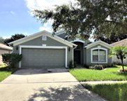 1227 Dragon Head Drive, Valrico image