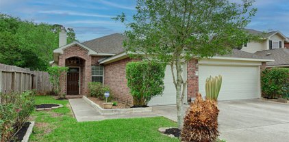 7516 Teas Lakes Drive, Conroe