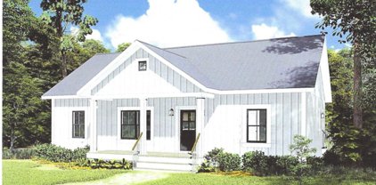 2328 Mount Olive Rd, Partlow