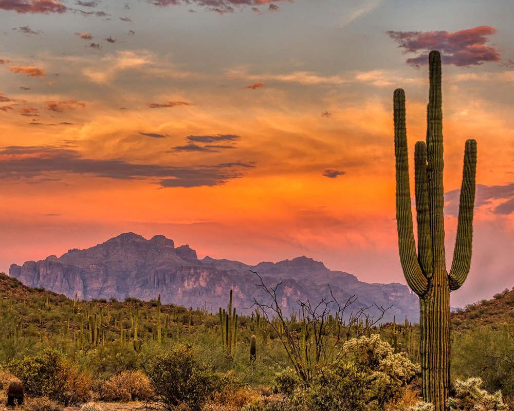 Arizona Real Estate
