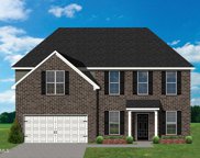 8711 Yellow Aster Rd, Knoxville image