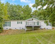 293 Appaloosa Drive, Tunnel Hill image