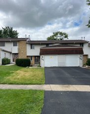 129 Pamela Drive Unit #129, Bolingbrook image
