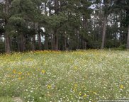 254 Pine View Loop, Bastrop image