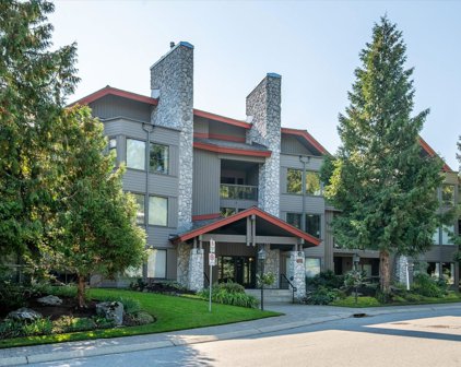 3309 Ptarmigan Place Unit 324, Whistler