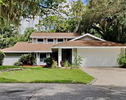 125 Hollow Branch Crossing, Ormond Beach image