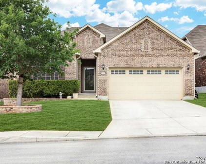10835 Red Sage, Helotes