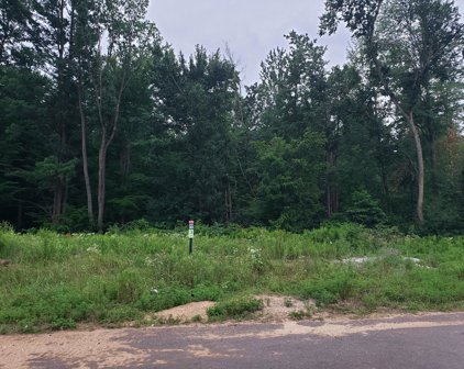 5278 Eaglepass, Hudsonville
