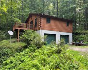 187 Native Trout Dr, Tuckasegee image