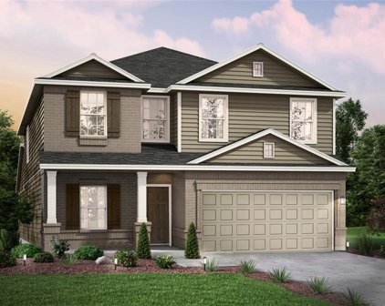 12803 Sunshine Park Drive, Willis