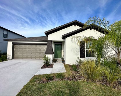 15715 Hunter Springs Place, Ruskin