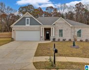 5770 Mountain View Trail, Bessemer image