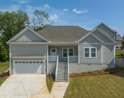 132 Old Selwood Trace, Columbia image