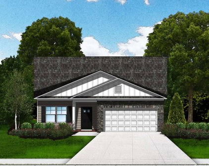 319 Box Elder Way, Longs