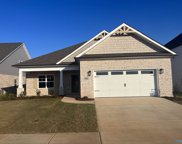 65 Dylan Road, Madison image