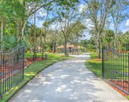 2041 Red Robin Drive, Port Orange image