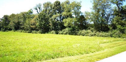 Lot 4 Nat Back Road, Wytheville