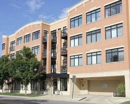 106 S Ridgeland Avenue Unit #205, Oak Park