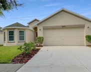8206 Carriage Pointe Drive, Gibsonton image