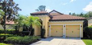 20322 Chestnut Grove Dr, Tampa image