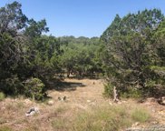 1213 Salt Lick Dr, New Braunfels image