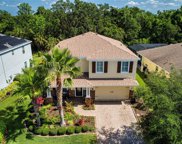 12330 Lavender Loop, Bradenton image