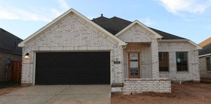 21730 Cordia Trace, Cypress