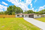 26760 Hickory Loop, Lutz image