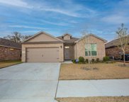 9128 Red Brush  Trail, Fort Worth image
