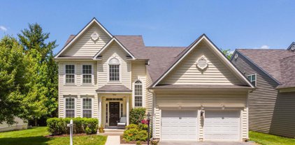 9084 Tiber Ridge Ct, Ellicott City