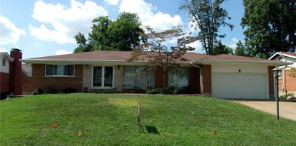 4135 Chasewood  Drive, St Louis
