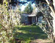 Sebastopol image