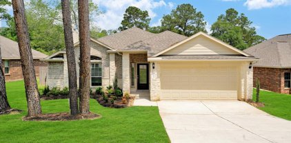 4234 Windswept, Montgomery