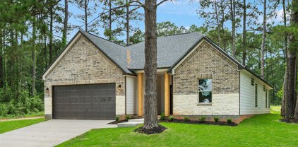12155 Maverick Drive, Willis