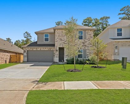 1013 Dancing Feather Street, Montgomery