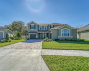 11724 Wrought Pine Loop, Riverview image