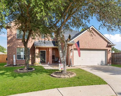 14702 Arbor Trace Court, Cypress