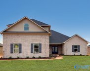 17382 Stonegate Drive, Athens image