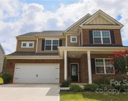 129 Falls Cove  Drive, Troutman image