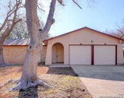 11029 White Sands St, Live Oak image