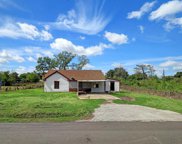 1108 Theresa Street, Houston image