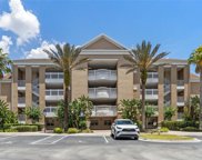 1106 Sunset View Circle Unit 201, Reunion image