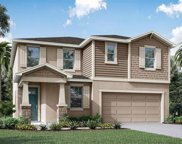 2981 Ambersweet Place Unit Lot 571, Clermont image