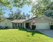 2715 Berryknoll Place, Valrico image
