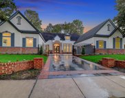 22 New Greens Court, Kingwood image