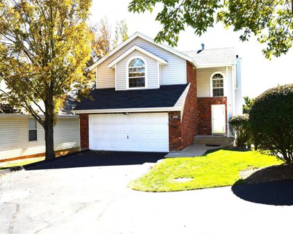 13027 Midfield, St Louis